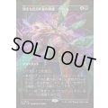 [EX+](FOIL)(フルアート)死をもたらす者の隆盛/Rise of the Deathbringer《日本語》【FRA】
