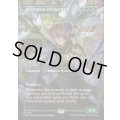 [EX+](FOIL)(フルアート)ヘクスヘイヴンの活性者/Hexhaven Invigorator《英語》【FRA】