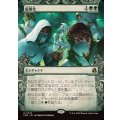 (FOIL)(ショーケース枠)(0345)庭園化/Gardenize《日本語》【FRA】