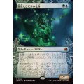 (ショーケース枠)芽生えこだまの化身/Avatar of Burgeoning Echoes《日本語》【FRA】