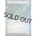 [EX+](ショーケース枠)芽生えこだまの化身/Avatar of Burgeoning Echoes《日本語》【FRA】