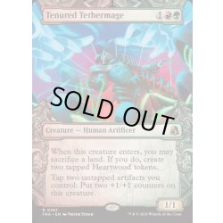 画像1: [EX+](FOIL)(ショーケース枠)任期無期限の繋操魔道士/Tenured Tethermage《英語》【FRA】