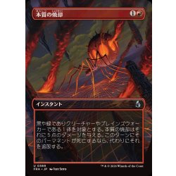 画像1: (フルアート)本質の焼却/Essence Burn《日本語》【FRA】