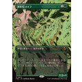 (FOIL)(フルアート)タルモゴイフ/Tarmogoyf《日本語》【FRA】