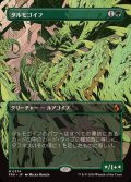 (フルアート)タルモゴイフ/Tarmogoyf《日本語》【FRA】