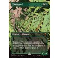(FOIL)(フルアート)タルモゴイフ/Tarmogoyf《英語》【FRA】