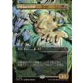 (FOIL)(フルアート)日光浴室の歩哨/Solarium Sentry《日本語》【FRA】