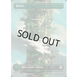 画像1: [EX+](FOIL)(フルアート)(0395)森/Forest《英語》【FRA】