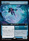 (フルアート)変数の追跡者/Variable Chaser《日本語》【FRA】