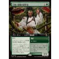 (フルアート)人喰い植物の耕作者/Carnivorous Cultivator《日本語》【FRA】