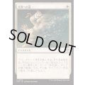 流刑への道/Path to Exile《日本語》【FRC】