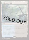 水没した地下墓地/Drowned Catacomb《日本語》【FRC】