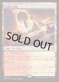 光輝の山頂/Radiant Summit《日本語》【FRC】