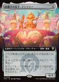 (フルアート)お菓子の女王、ジンジャー/Ginger, Queen of Sweets《日本語》【FRC】