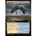 (フルアート)渦巻く海岸/Turbulent Shore《日本語》【FRC】