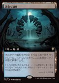 (フルアート)渦巻く沼地/Turbulent Wetlands《日本語》【FRC】