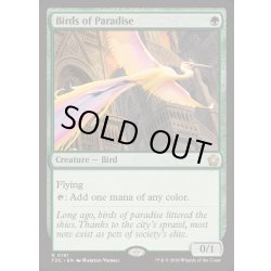 画像1: 極楽鳥/Birds of Paradise《英語》【FDC】