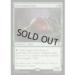画像1: [EX+]漁る軟泥/Scavenging Ooze《英語》【FDC】