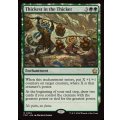 茂みの最奥/Thickest in the Thicket《英語》【FDC】