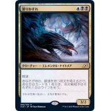滑りかすれ/Slitherwisp《日本語》【IKO】
