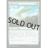 木霊の手の内/Kodama's Reach《日本語》【UMA】
