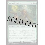 エルフの大ドルイド/Elvish Archdruid《日本語》【Commander 2014】