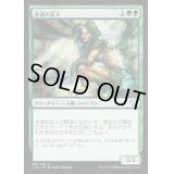 [PLD]永遠の証人/Eternal Witness《日本語》【Commander 2015】