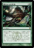 [EX+]壌土からの生命/Life from the Loam《日本語》【Duel Decks: Izzet vs. Golgari】