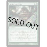壌土からの生命/Life from the Loam《日本語》【Duel Decks: Izzet vs. Golgari】