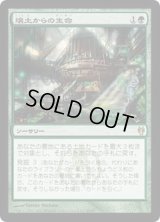 [HPLD]壌土からの生命/Life from the Loam《日本語》【Duel Decks: Izzet vs. Golgari】