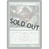 [EX+]壌土からの生命/Life from the Loam《日本語》【Duel Decks: Izzet vs. Golgari】