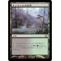 [EX]ラノワールの荒原/Llanowar Wastes《日本語》【10E】