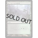 [EX+]ラノワールの荒原/Llanowar Wastes《日本語》【10E】