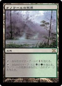 [EX]ラノワールの荒原/Llanowar Wastes《日本語》【10E】