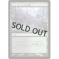 [EX+]ラノワールの荒原/Llanowar Wastes《日本語》【10E】