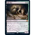 (FOIL)悪魔の職工/Fiend Artisan《日本語》【IKO】