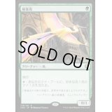 [EX+]極楽鳥/Birds of Paradise《日本語》【CN2】