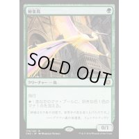 [EX]極楽鳥/Birds of Paradise《日本語》【CN2】