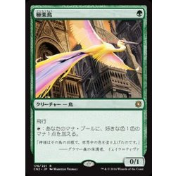 画像1: [EX+]極楽鳥/Birds of Paradise《日本語》【CN2】