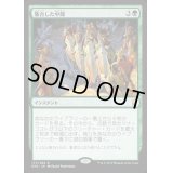 集合した中隊/Collected Company《日本語》【DTK】