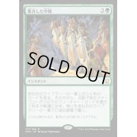 [PLD]集合した中隊/Collected Company《日本語》【DTK】