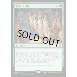 画像1: [PLD]集合した中隊/Collected Company《日本語》【DTK】