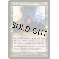 [PLD]翻弄する魔道士/Meddling Mage《英語》【PLS】