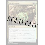 [EX+]ゴルガリの魔除け/Golgari Charm《日本語》【UMA】