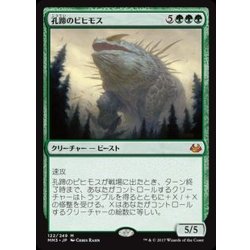 画像1: [EX+]孔蹄のビヒモス/Craterhoof Behemoth《日本語》【MM3】