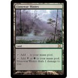 [EX]ラノワールの荒原/Llanowar Wastes《英語》【10E】