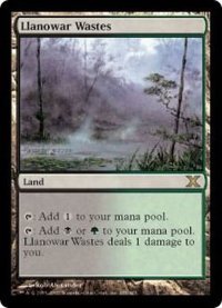 [EX]ラノワールの荒原/Llanowar Wastes《英語》【10E】