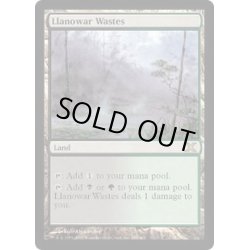 画像1: [EX+]ラノワールの荒原/Llanowar Wastes《英語》【10E】