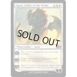 画像1: 群れの統率者アジャニ/Ajani, Caller of the Pride《英語》【M13】