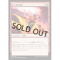 [PLD]捨て身の儀式/Desperate Ritual《日本語》【Duel Decks: Mind vs. Might】